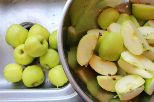 apples-for-canning-applesauce