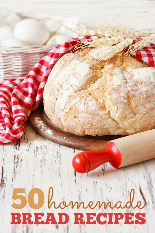 50+ Homemade Bread Recipes from around the web -- So many delicious recipes, including our favorite No-Knead Bread!