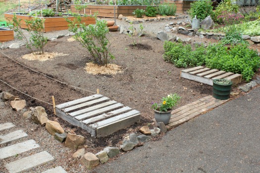 Pacific NW Raised Bed Garden