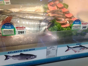 winco-salmon