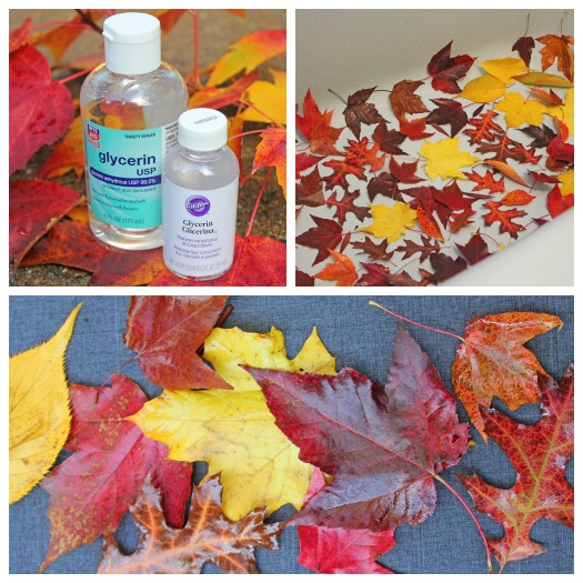 Preserving Fall Leaves with Glycerin Water
