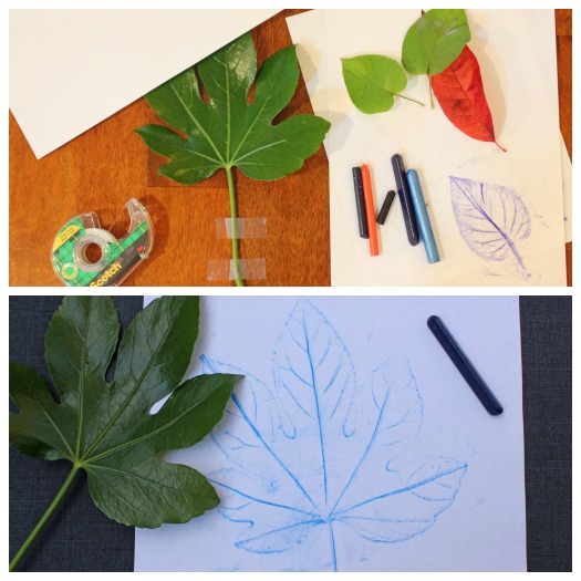 Simple Fall Art Project: Leaf Rubbings