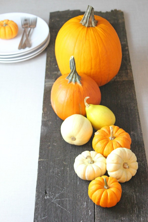 5 Easy and Inexpensive Fall Centerpieces -- These simple and beautiful centerpiece ideas require minimal effort and expense. Perfect for your thanksgiving table!