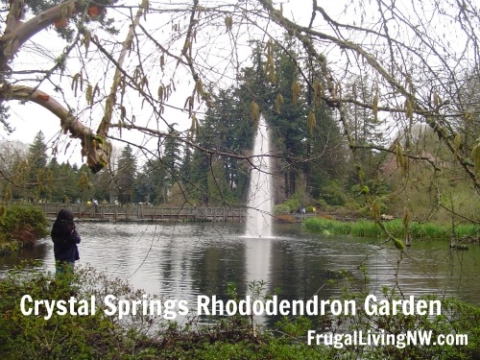 Portland Family Fun Guide Crystal Springs Rhododendron Garden